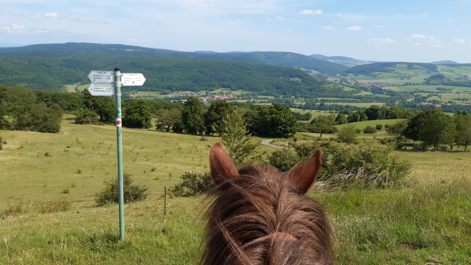 Wanderritt im Juni 2025 in der Rhön